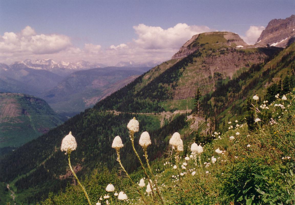 Glacier National Park